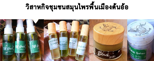 วิสาหกิจชุมชนสมุนไพรพื้นเมืองต้นอ้อ