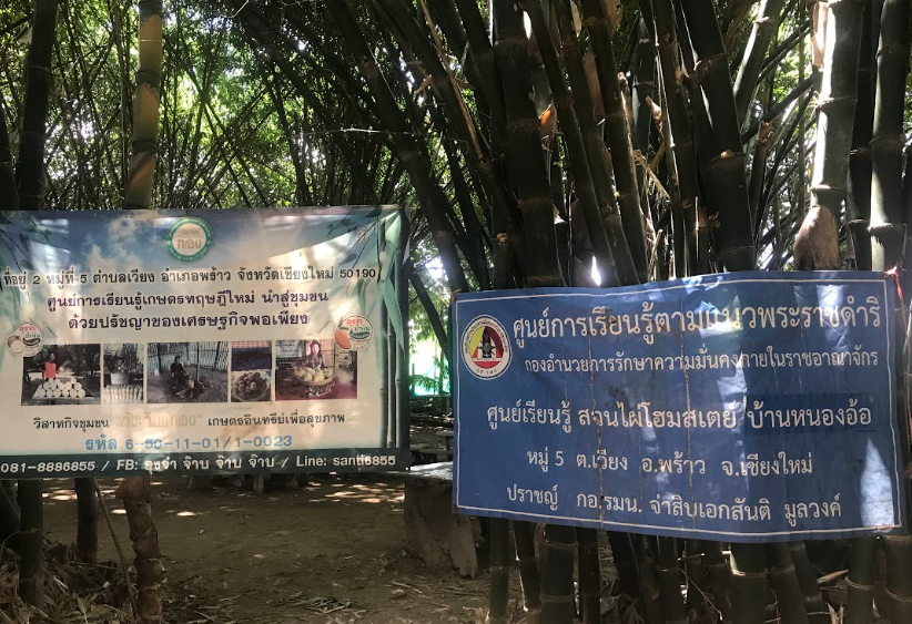 กล้าพันธุ์ไผ่