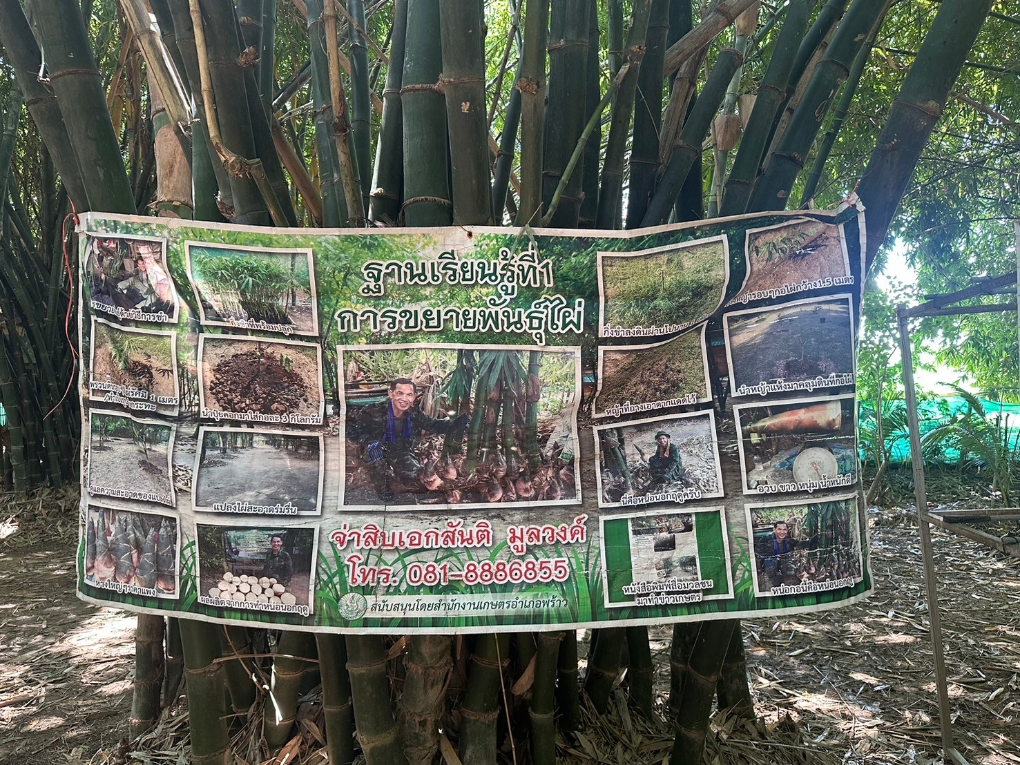 ศูนย์เรียนรู้ สวนไผ่โฮมสเตย์ บ้านหนองอ้อ