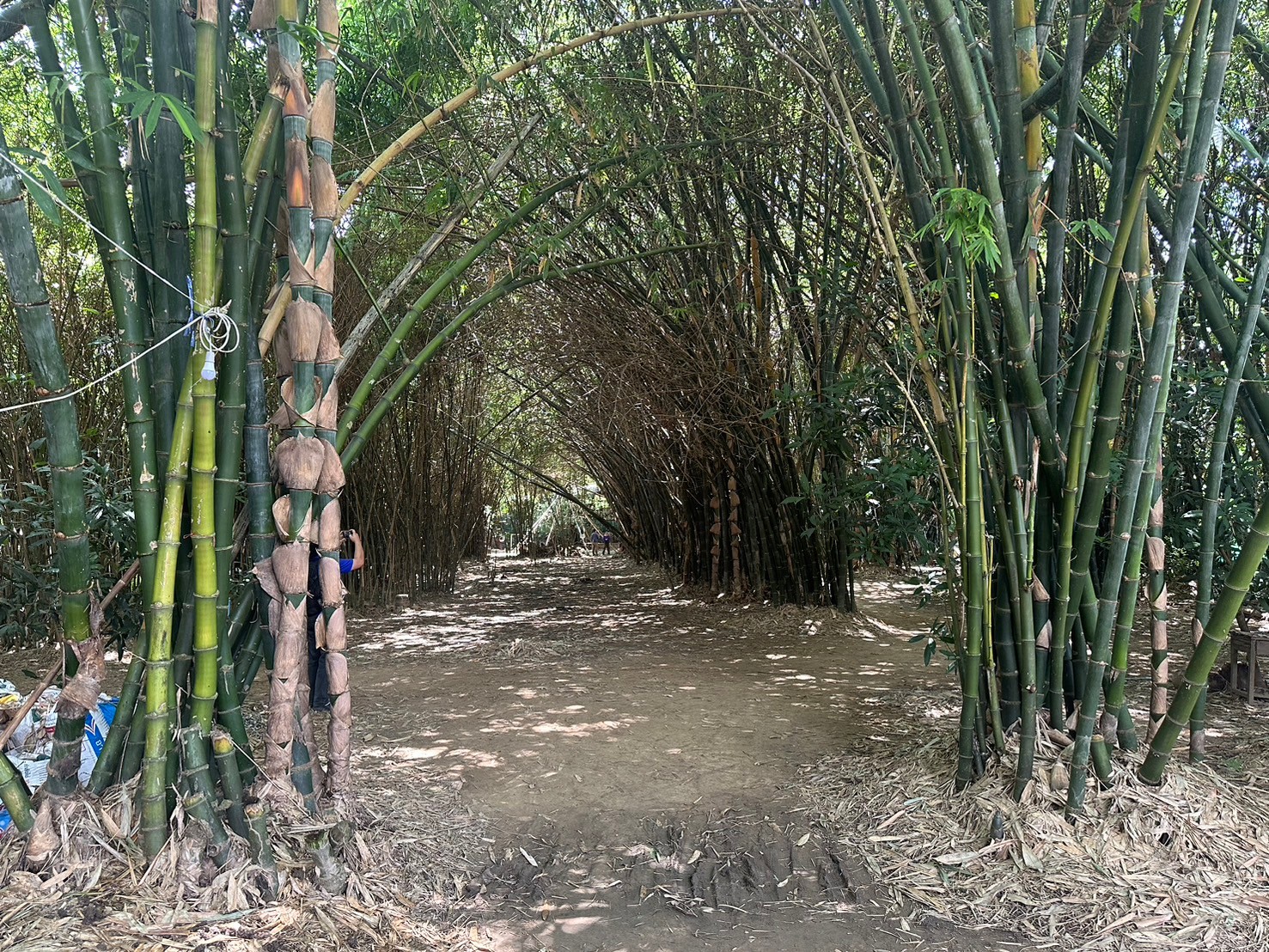 ศูนย์เรียนรู้ สวนไผ่โฮมสเตย์ บ้านหนองอ้อ
