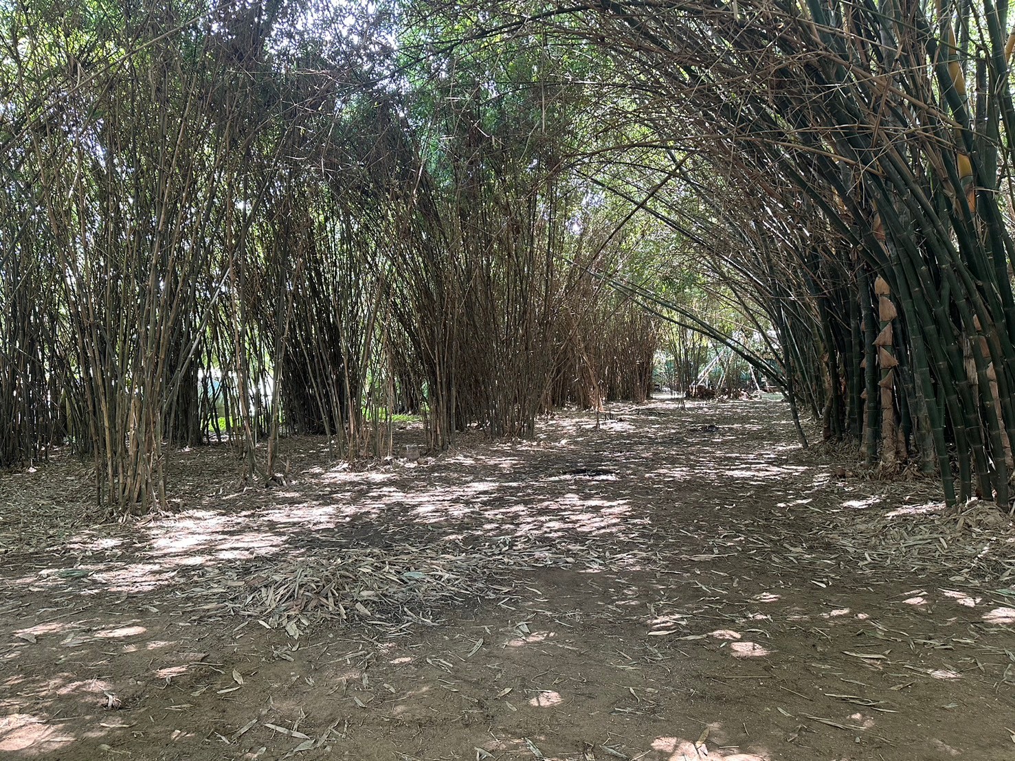 ศูนย์เรียนรู้ สวนไผ่โฮมสเตย์ บ้านหนองอ้อ